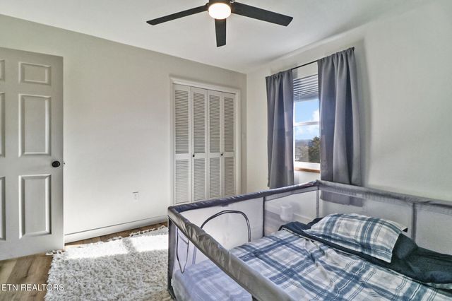 109 Scenic Hill Drive, Spring City, TN 37381