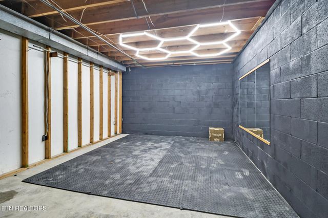 109 Scenic Hill Drive, Spring City, TN 37381