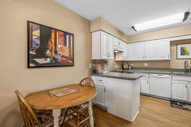 207 Rivershire Lane 207, Lincolnshire, IL 60069