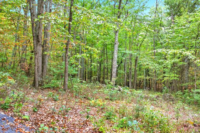 974 SUNDANCE RETREAT LN, New Market, VA 22844