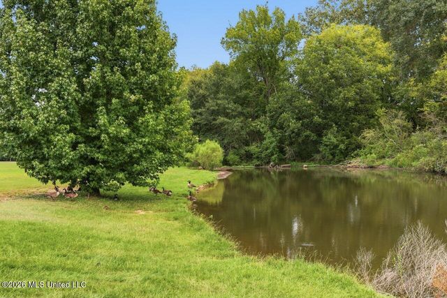 553 Twin Cedars Drive, Madison, MS 39110