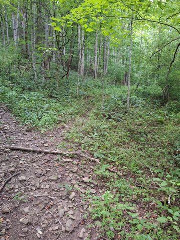 691 & 695 Blue Ridge Church Road, Pineville, KY 40977