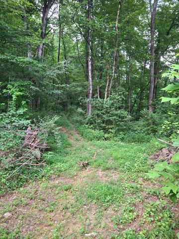 691 & 695 Blue Ridge Church Road, Pineville, KY 40977