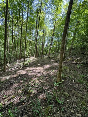 691 & 695 Blue Ridge Church Road, Pineville, KY 40977