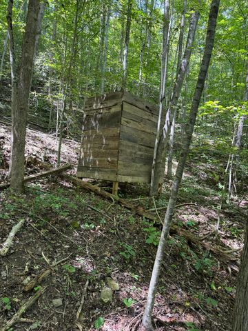 691 & 695 Blue Ridge Church Road, Pineville, KY 40977