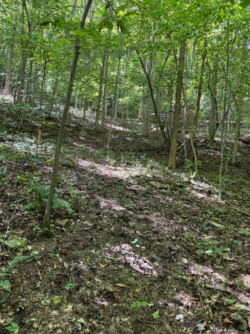 691 & 695 Blue Ridge Church Road, Pineville, KY 40977