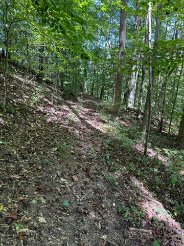 691 & 695 Blue Ridge Church Road, Pineville, KY 40977