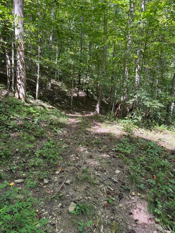 691 & 695 Blue Ridge Church Road, Pineville, KY 40977