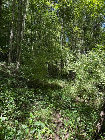 691 & 695 Blue Ridge Church Road, Pineville, KY 40977