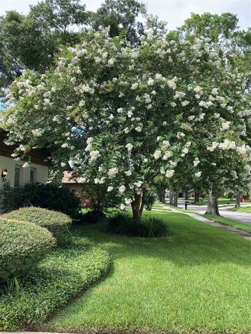 2938 MACALPIN DRIVE W, Palm Harbor, FL 34684