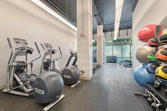 225 S Sangamon Street 803, Chicago, IL 60607