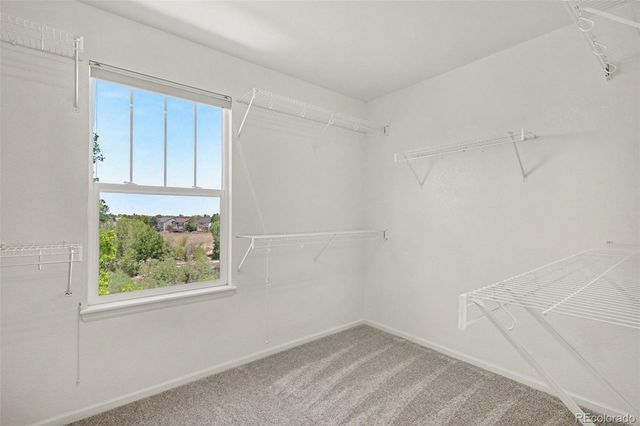 10459 Wagon Box Circle, Littleton, CO 80130
