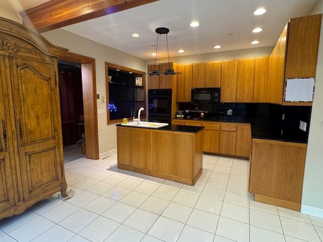 3309 S Lowe Avenue, Chicago, IL 60616