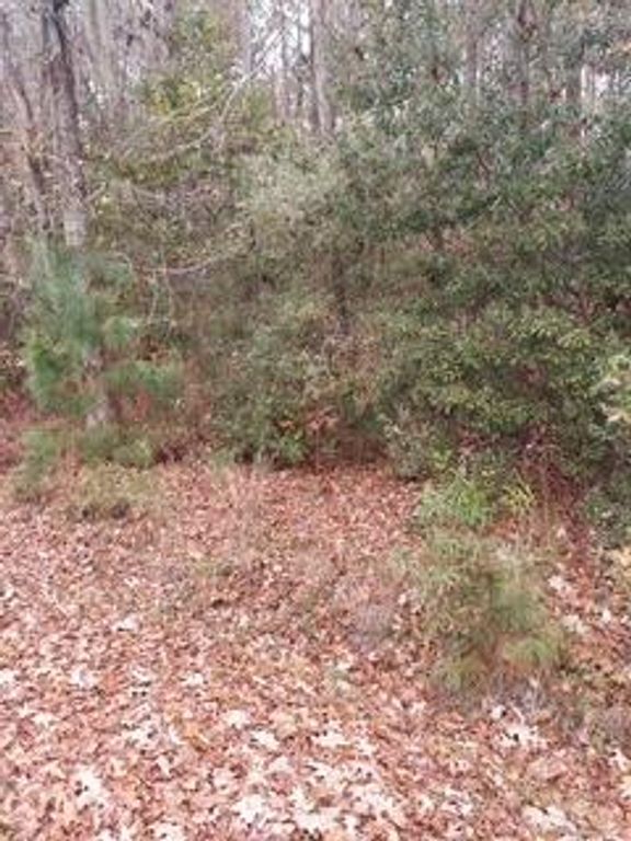 Lot 207 Prices Bridge Lane, Walterboro, SC 29488