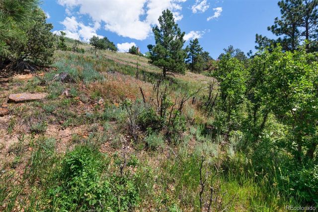 7137 Oak Valley Drive, Colorado Springs, CO 80919