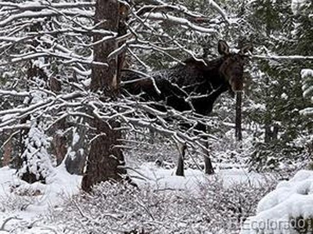 746 Riverside Dr, Lyons, CO 80540