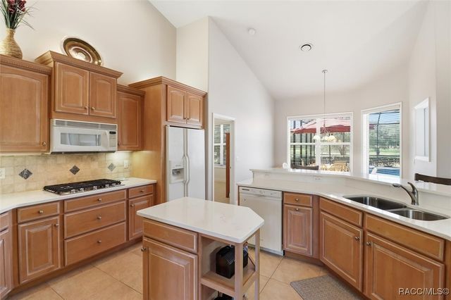 3073 W Shadow Creek Loop, Lecanto, FL 34461