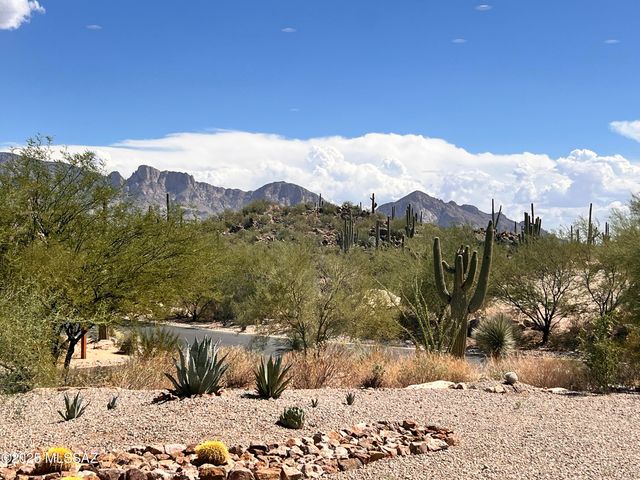14205 N Stone View Place, Tucson, AZ 85755