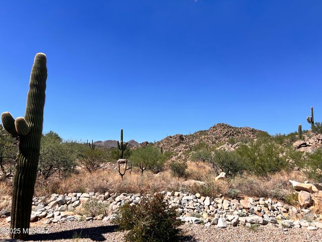 14205 N Stone View Place, Tucson, AZ 85755