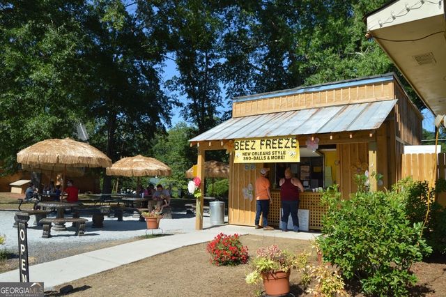 345 Darien Drive, Senoia, GA 30276