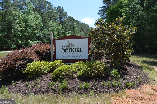 345 Darien Drive, Senoia, GA 30276