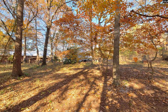 217 Jeffers Circle, Elgin, SC 29045