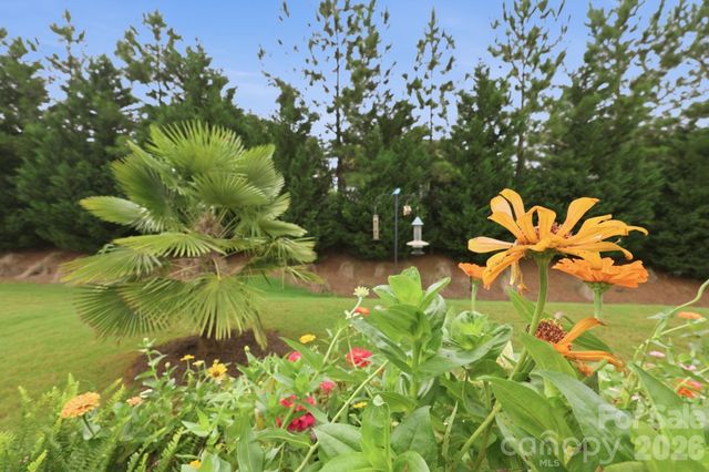 7106 Overjoyed Crossing, Charlotte, NC 28215