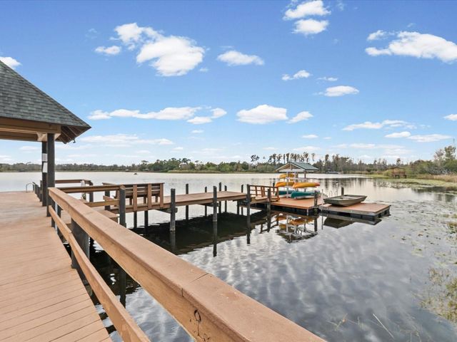 21014 FOLLENSBY COURT, Land O Lakes, FL 34637