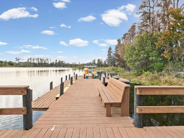21014 FOLLENSBY COURT, Land O Lakes, FL 34637
