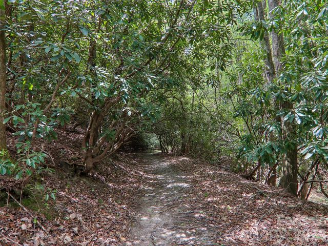 554 Pisgah Forest Drive, Pisgah Forest, NC 28768