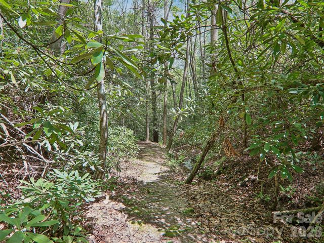 554 Pisgah Forest Drive, Pisgah Forest, NC 28768