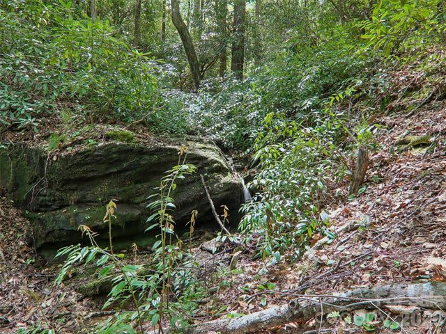 554 Pisgah Forest Drive, Pisgah Forest, NC 28768
