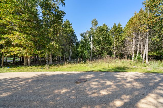 17 N Stonebridge Drive 17, Hayes Twp, MI 49720