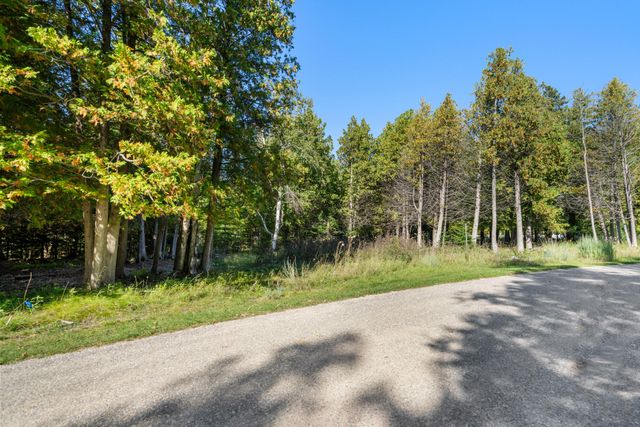 17 N Stonebridge Drive 17, Hayes Twp, MI 49720