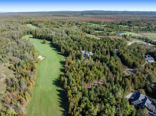 17 N Stonebridge Drive 17, Hayes Twp, MI 49720