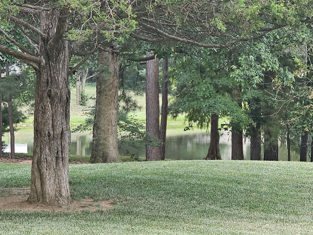 Image 8 of property listing at 14687 N Lost Lake Lane, Mt Vernon, IL 62864
