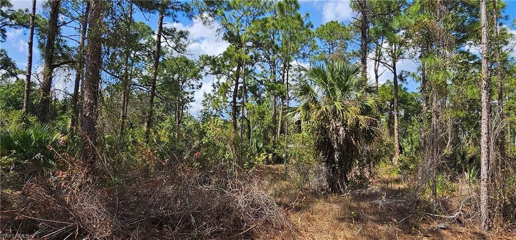 1123 Lincoln AVE, LEHIGH ACRES, FL 33972 — photo 3