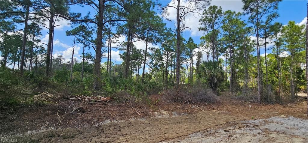 1123 Lincoln AVE, LEHIGH ACRES, FL 33972 — photo 4