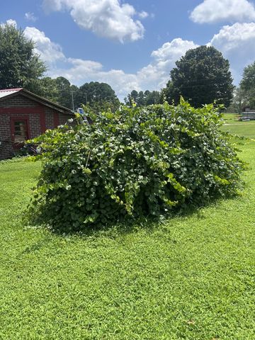 2629 Highway 43, S, Leoma, TN 38468