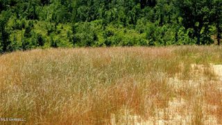 104 Hugh White State Park Road, Grenada, MS 38901