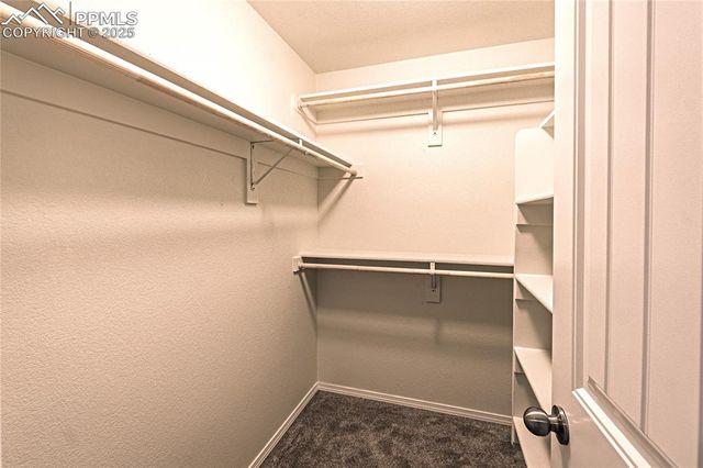 7128 Mustang Rim Drive, Colorado Springs, CO 80923