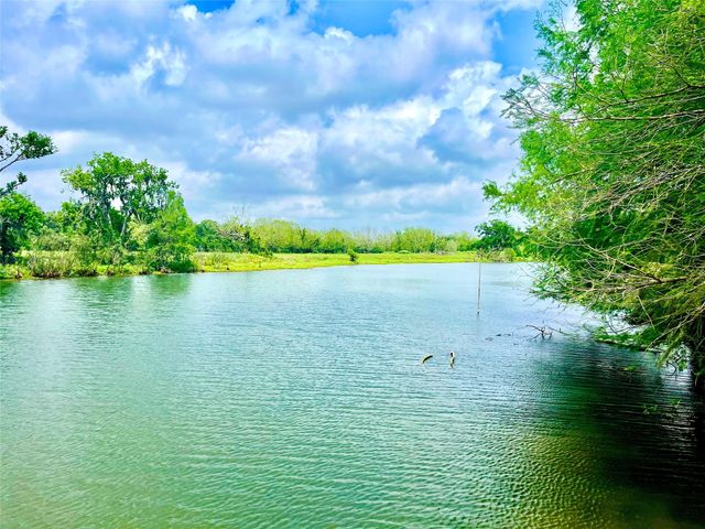 0 Fm521, Cedar Lane, TX 77415