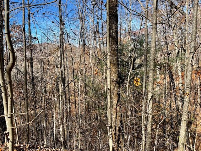 Lot 49J Indian Trail, Hayesville, NC 28904