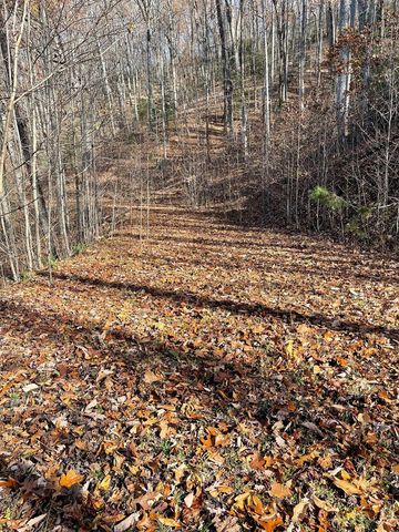 Lot 49J Indian Trail, Hayesville, NC 28904