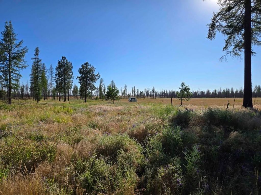 14xxx E Oregon Rd, Elk, WA 99009 photo 2