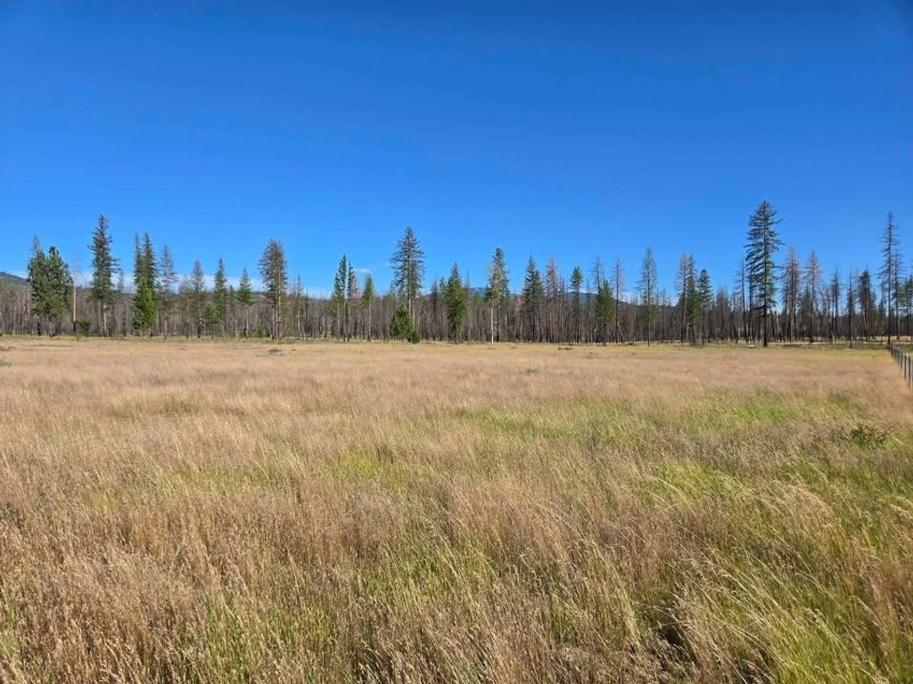 14xxx E Oregon Rd, Elk, WA 99009 photo 4