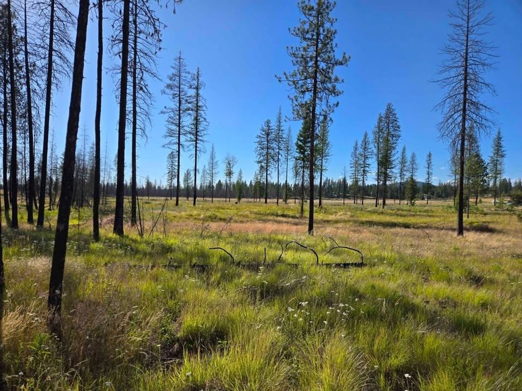 14xxx E Oregon Rd, Elk, WA 99009 photo 5