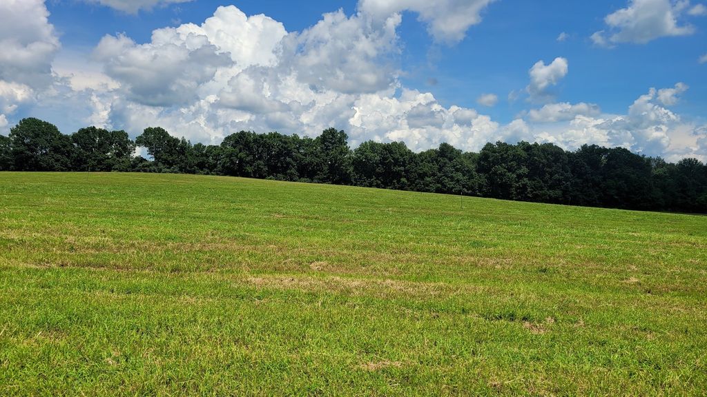 6 Mount Lebanon Church Rd, Shelbyville, TN 37160