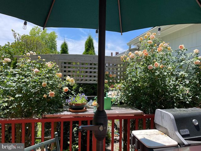 308 GLENBURN AVE, Cambridge, MD 21613