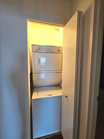 512 N MCCLURG Court 1906, Chicago, IL 60611